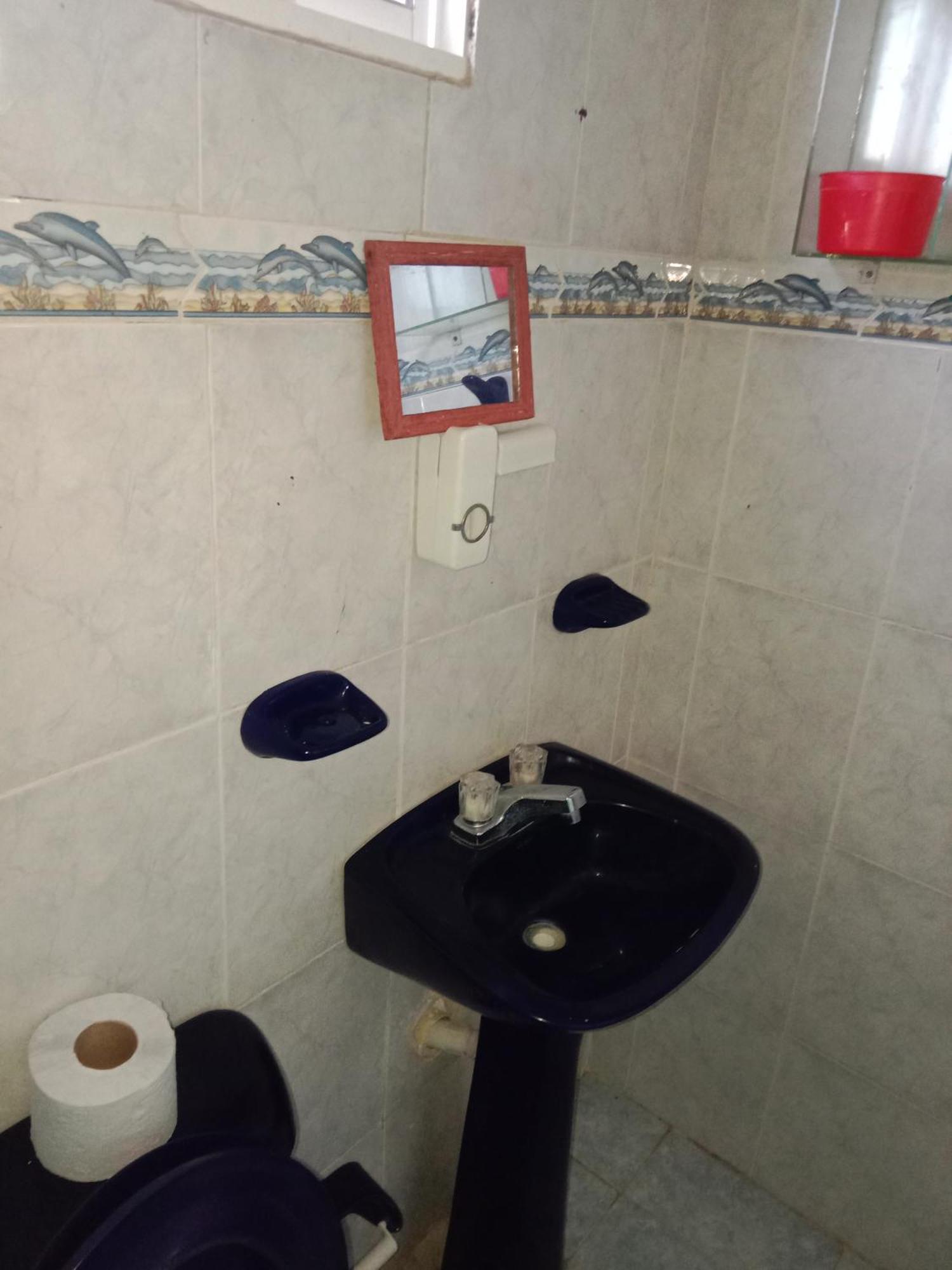 푸에르토 콜롬비아 Alojamiento Casa Luz Cielo 아파트 외부 사진